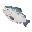 Atlantic Salmon