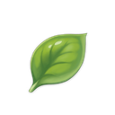 Basil