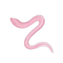 Blind Cave Eel
