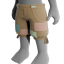 Coastal Shorts
