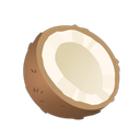 Coconut