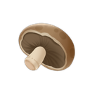 Portobello Mushrooms