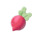 Radish