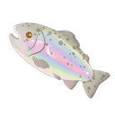 Rainbow Trout