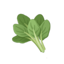Spinach