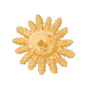 Sunflower Sea Star