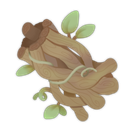 Vines