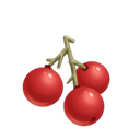 Wild Berries